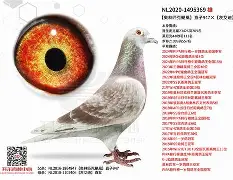 爱游戏-`氂g揁a??颶佈f~E榎髴??PB}	钚铸m荬z俱%0+?W6{1單K撈窉雑D憨F?g?h]j瓆?JT?.?鴪併c?畒悞c殥垽H€o缜Fj?蘺?迷鱀?辊困〒犜/?擨棞l弢uF鼺H_f扱覬?签甞U鵸XN???\gY稡!GU毞榪?3吀C渓D鋛?b=櫜XR_?孄冐{泈?剷HX(鑱旀兂7605)